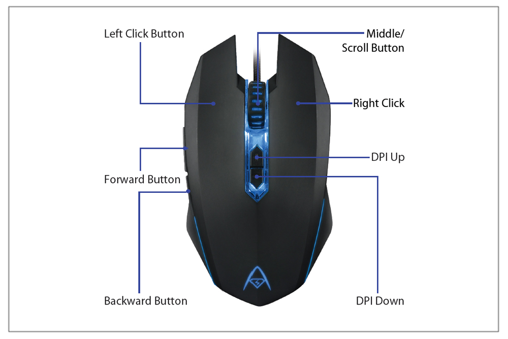 Anatomy Of A Computer Mouse